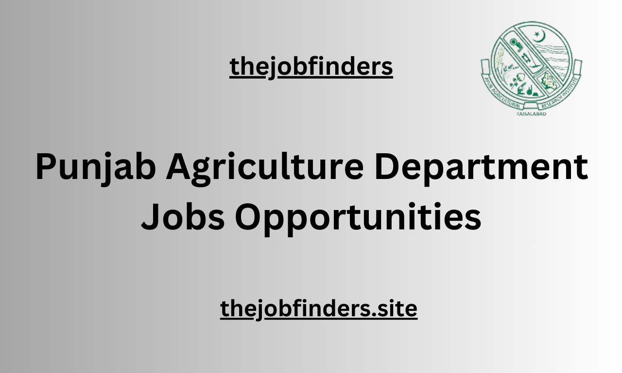 Sargodha jobs