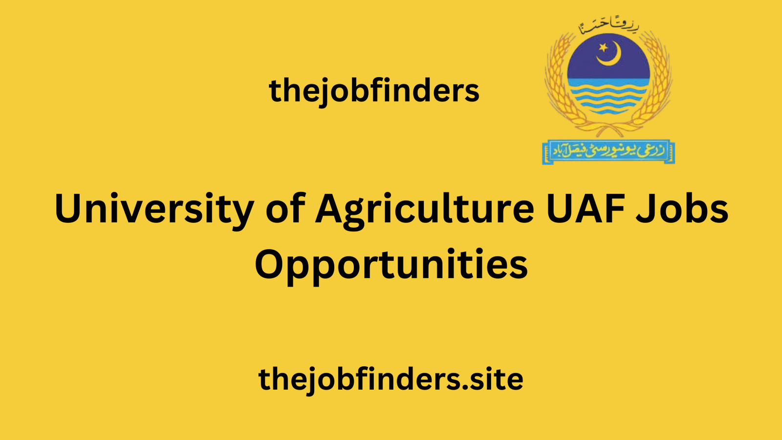 Faisalabad Jobs